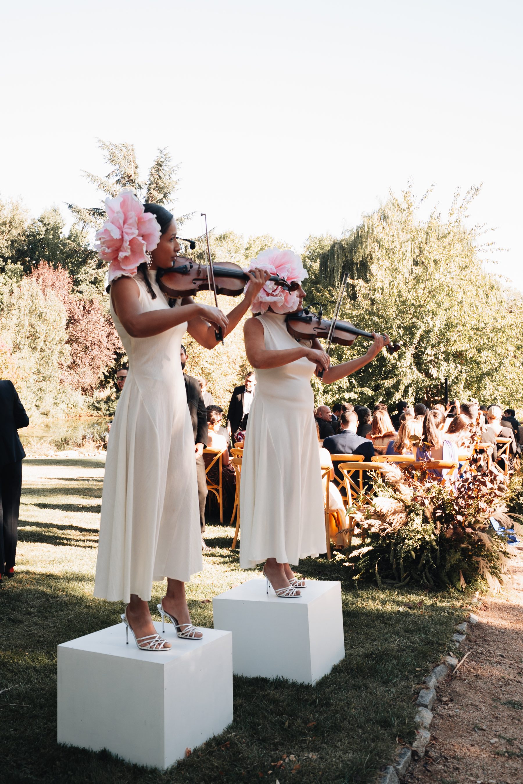 Dreaming Strings · Soirée Edition